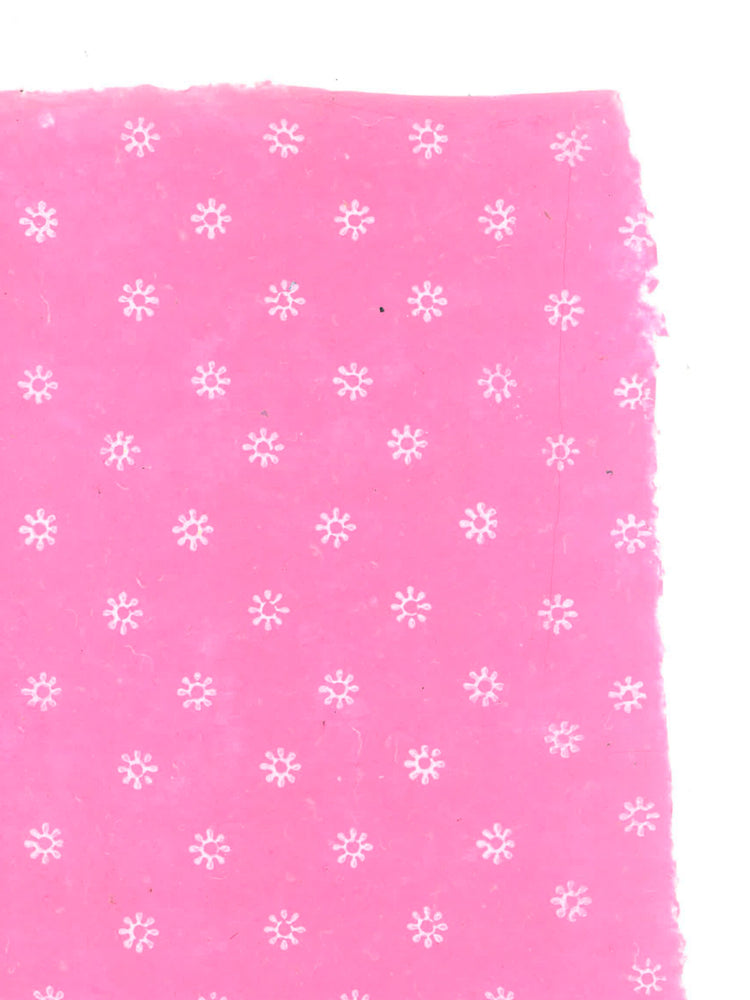 White Flower on Pink