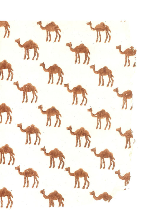 Camels are Brown