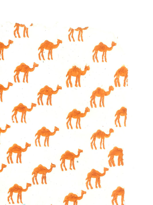 Camels are Orange