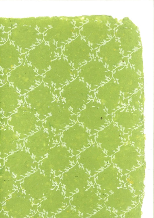 White Floral Creeper in Square