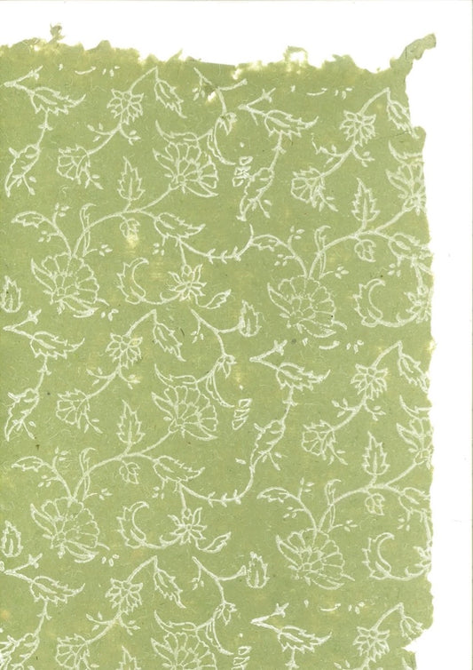 Creeper in white on Parakeet Green
