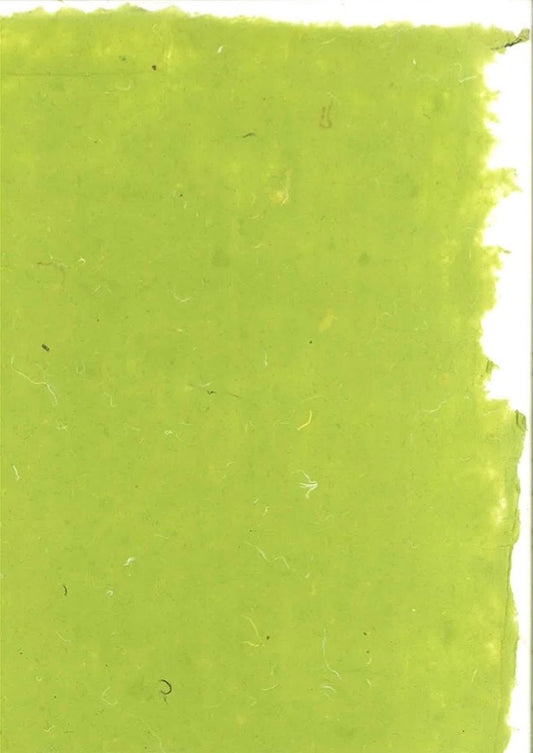Plain Paper in Chartreuse Green