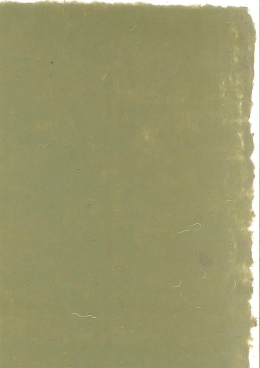 Plain Paper in Crocodile Green