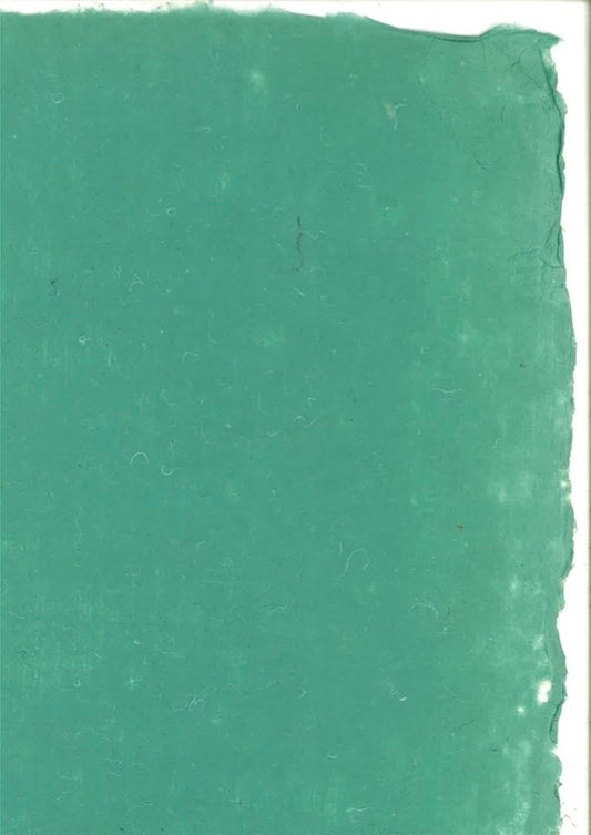 Plain Paper in Pine Green (Copy)