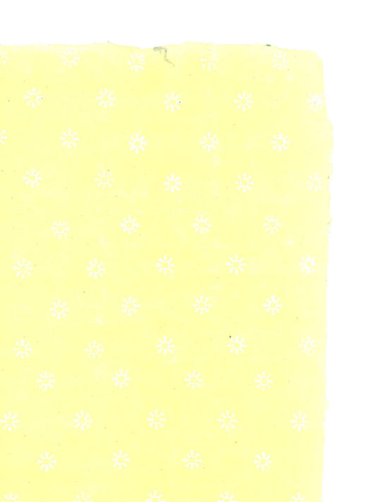 White Flower on Bumblebee Yellow