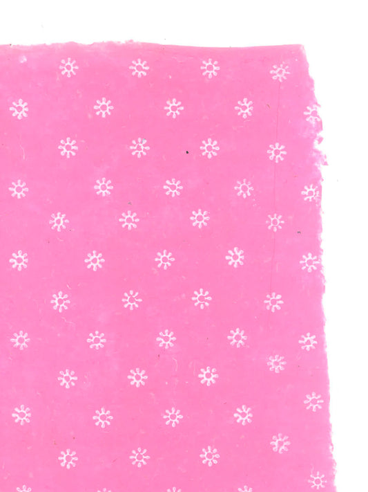 White Flower on Pink